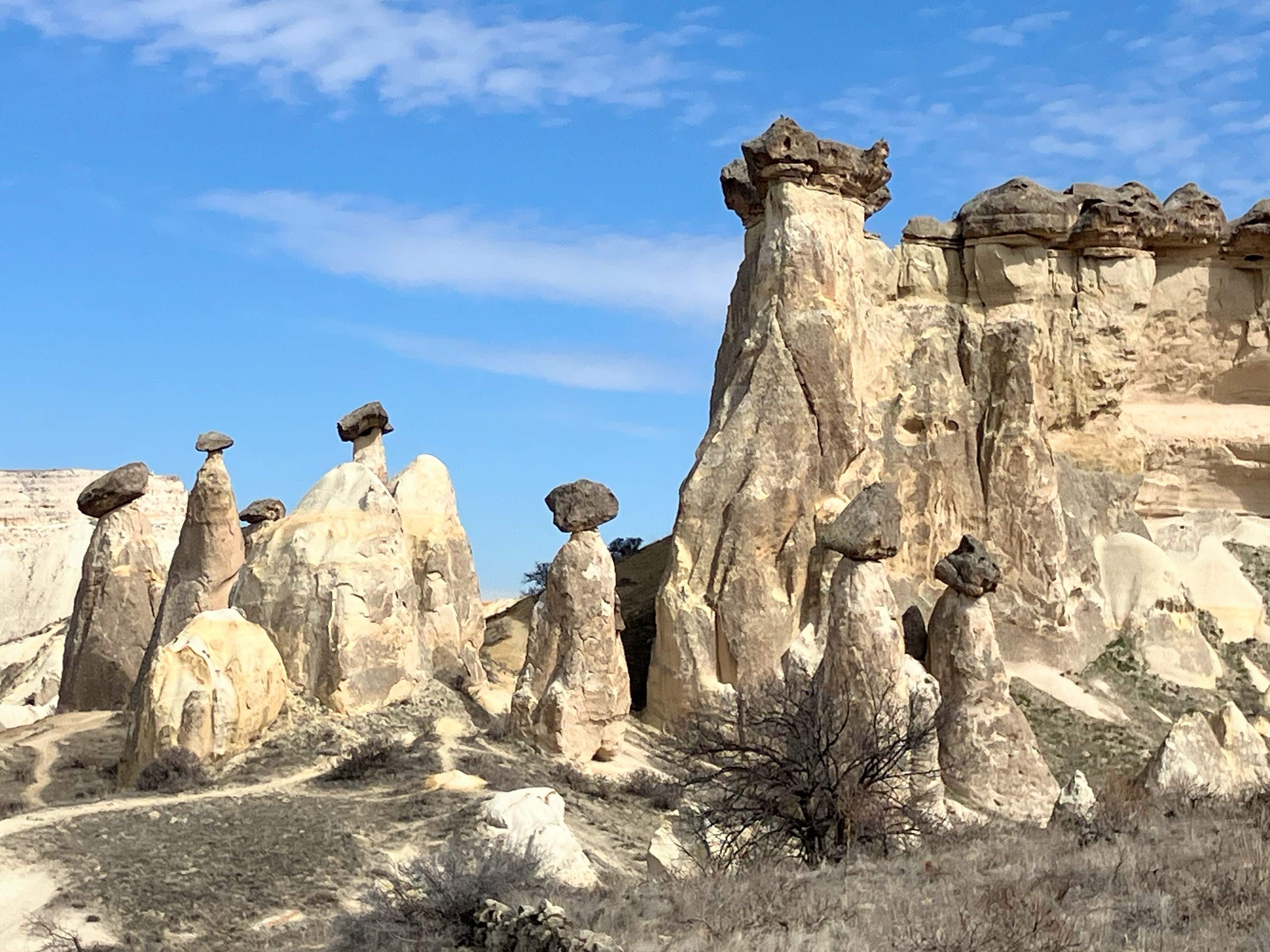 ANAビジネスクラスで旅する 必見の世界遺産巡り トルコ周遊9日間＜羽田